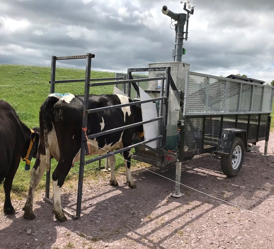 New chair appointed to Dairy Research Ireland