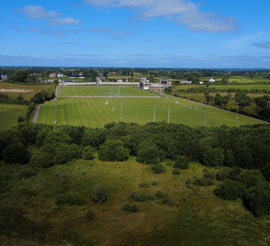Habitat survey at Co. Louth GAA club reveals biodiversity 'treasure'