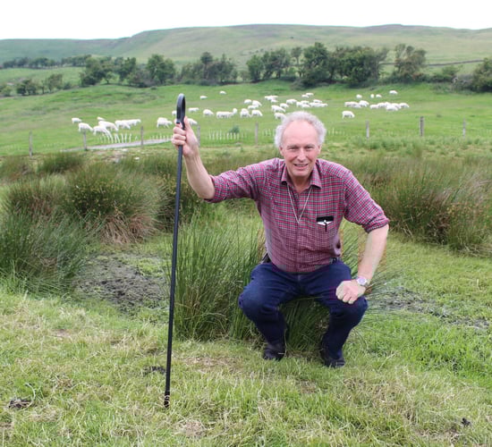 Demand for EasyCare bloodlines opening up overseas markets - farmer