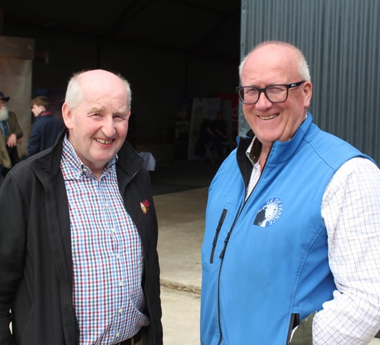 Discussions on bespoke NI sheep support package to continue