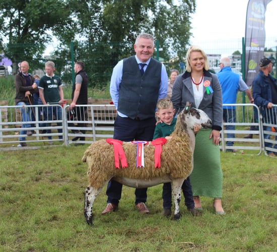 Record entry of sheep at Omagh Show 2025