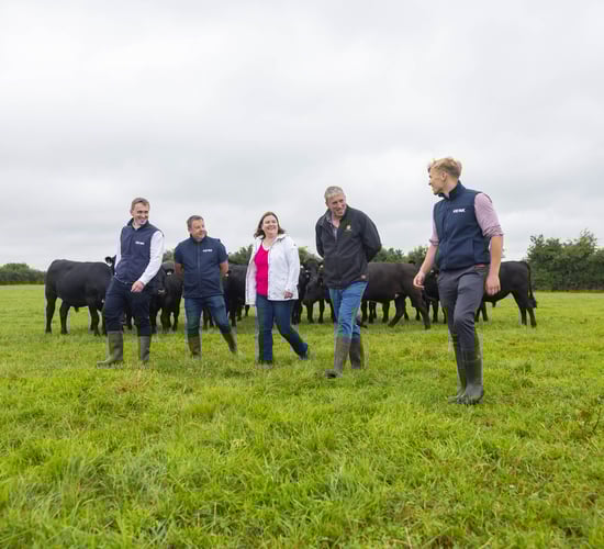 Kepak to launch sustainability initiative at Co. Cork farm walk
