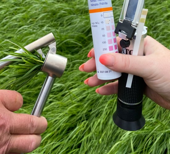 ABP Monitor Farm: Summer scour, silage, and cattle weight