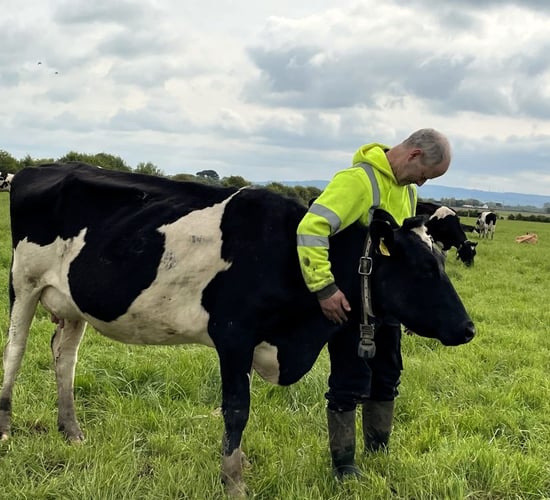 The silent spread - Ireland’s TB battle