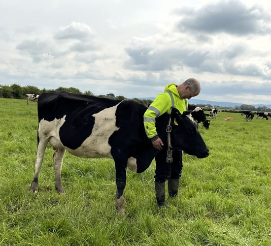 Watch: The Kerry farmer who lost his entire herd to TB