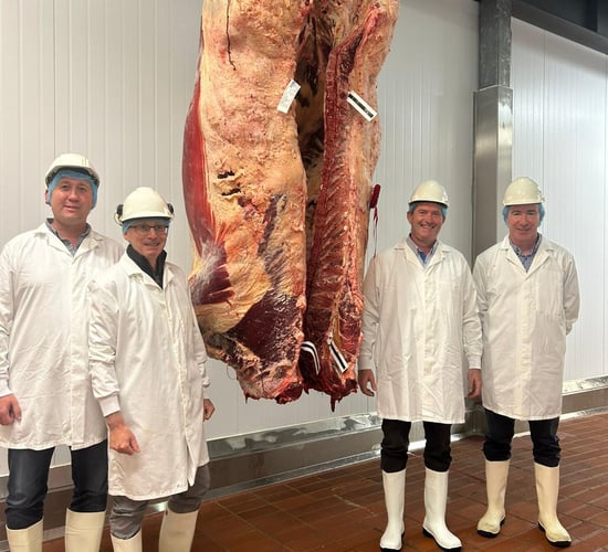 Results: Ashbourne Meats cow carcass competition