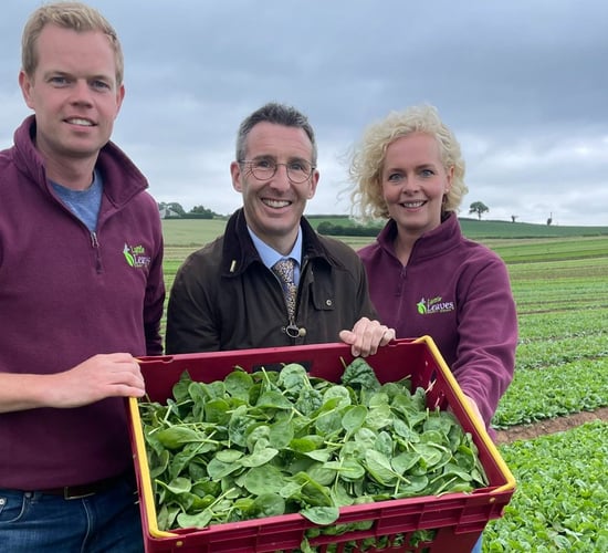 Expressions of interest open for NI Horticulture Pilot Scheme