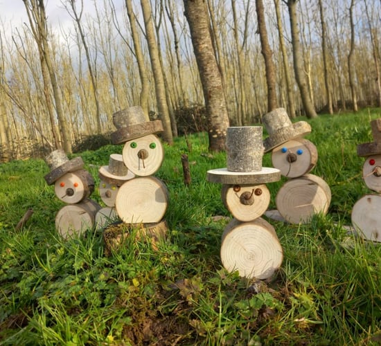 Deadline for forest photography competition extended