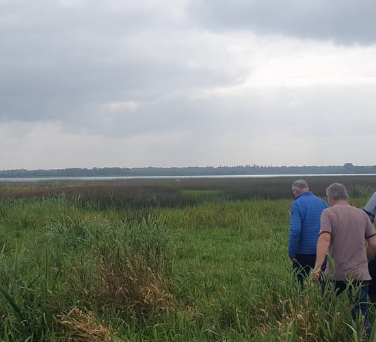 Watch: Bord na Móna to meet Roscommon farmers over rewetting concerns