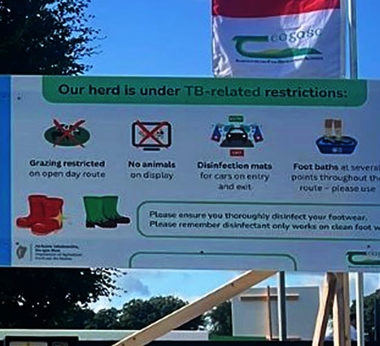 Kenny: TB in Moorepark shows 'nobody is immune'