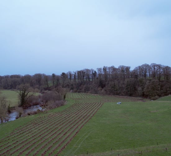 Minister Healy-Rae visits 'Woodland for Water' measure