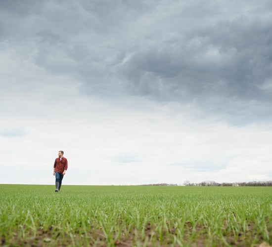 Irish MEPs warn Commission's plans for CAP could 'harm' farmers