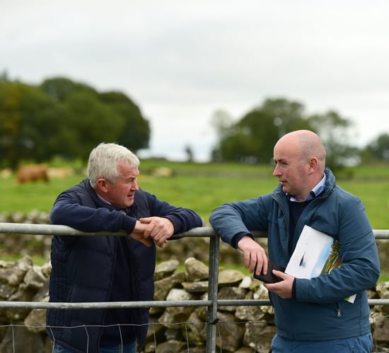 Pilot audits underway in bid to update farm standards