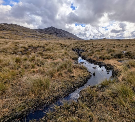 Heydon: 'Impactful measures' on water quality being developed for next NAP