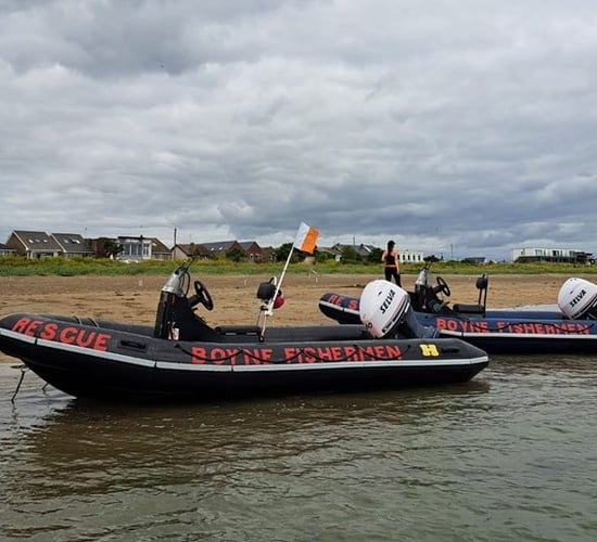 Watch: Co. Louth cattle saved from flood by Boyne rescue service