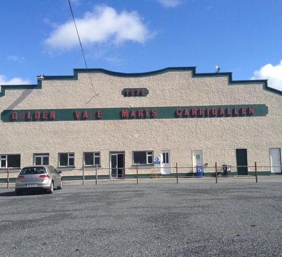 Second mart moves to offer  auction for TB-restricted herds
