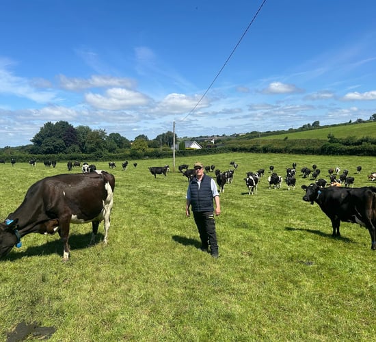 Listen: Kildare farmer tweaks grazing platform to achieve 500kg MS/cow