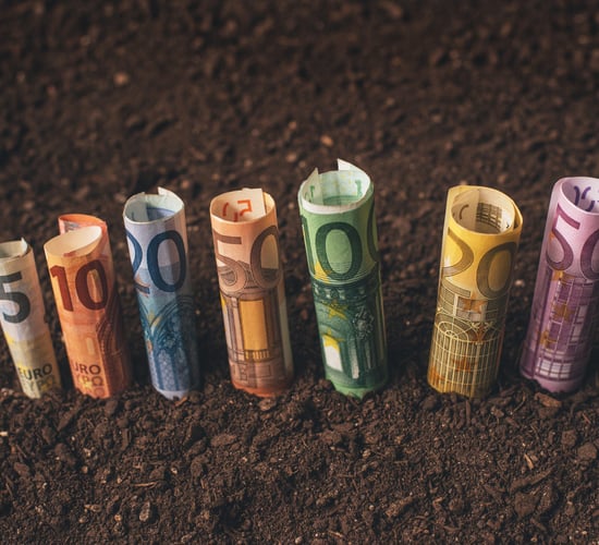 Report: Average farm income expected to grow to €48,500 in 2025