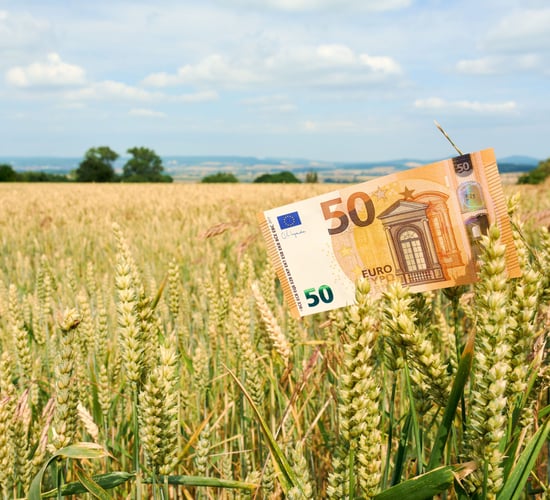 Average tillage farm income in 2025 to be below €45,000 - report