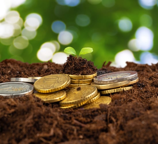 Irish agri-food sector facing 'very significant uncertainty' - ICOS
