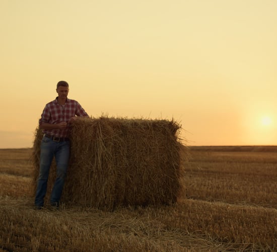 Farm income volatility and succession problems 'inextricably linked'