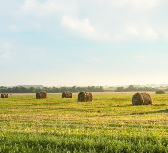 What are the proposed new rural planning permission exemptions?