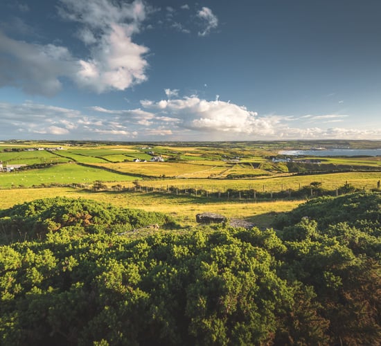 'When policy is right, farmers will plant' - farmers respond to CCAC
