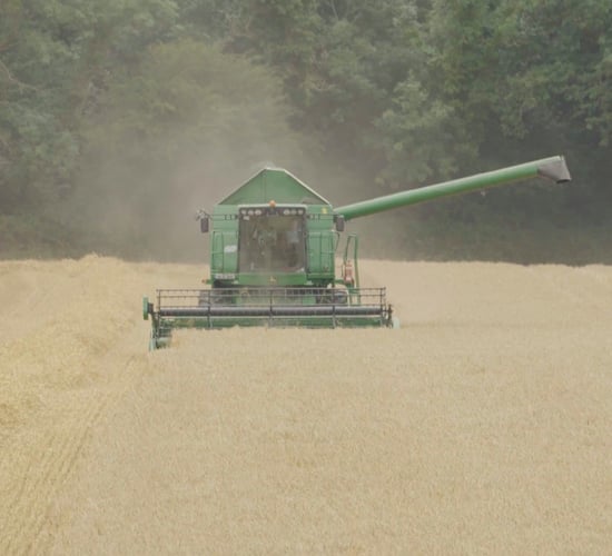 Watch: Co. Kilkenny tillage farmer enjoys strong start to the 2025 cereal harvest