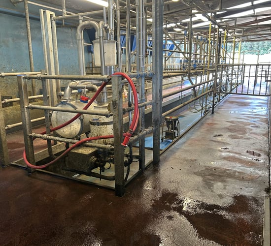 Controlling thermoduric and total bacteria counts this summer