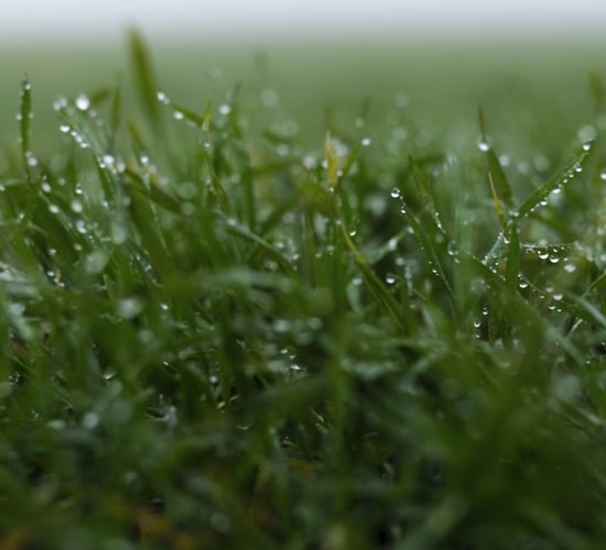 Met Éireann: Status Orange rain warning for eastern counties