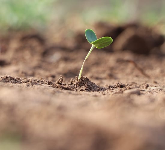 EU-China project offers farmers digital tools to assess soil health