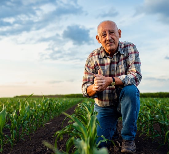 Sinn Féin: EU's plan to 'force older farmers to quit farming'  not the way to go