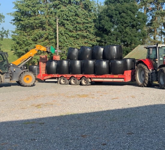 Winter fodder: How is your farm fixed for supplies?