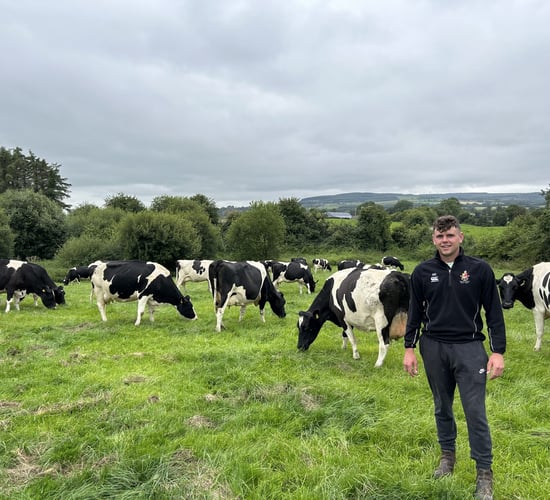 Listen: Producing 530kg MS/cow with pure Friesian breeding in Tipperary