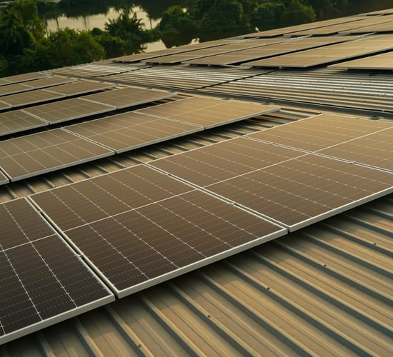 More farmers in Co. Cork get solar grants under TAMS 3 compared to any other county