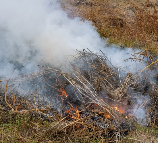Hill farmers urged to consider 'other means of control' rather than burning