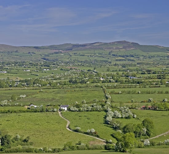 Heritage Council awards funding for rural hedgerow initiative