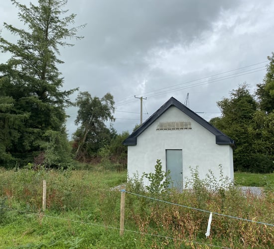 EirGrid and ESB build new bat roost after farmhouse demolished