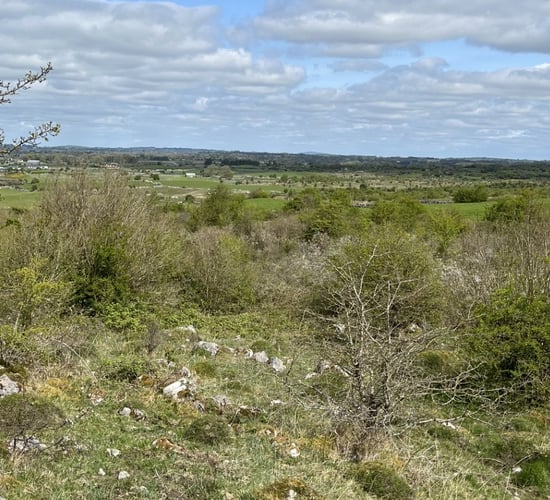 Watch: Farming 'the Rocks' in south Co. Roscommon