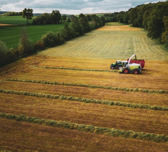 Dairy advice: Time for a winter fodder budget