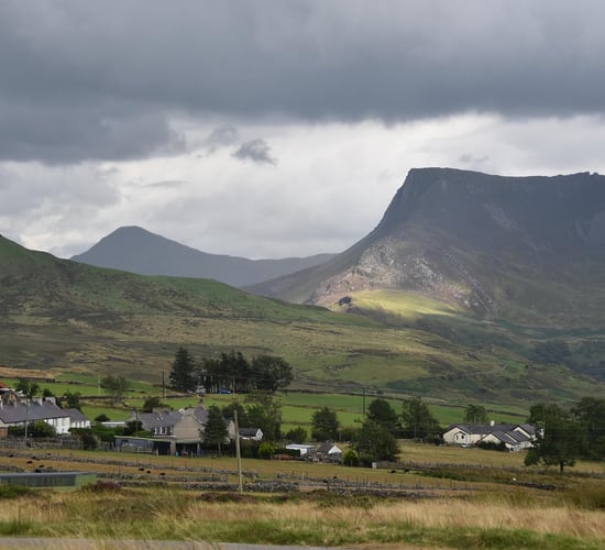 Wales aims to be TB-free by 2041: How is it working to achieve this?