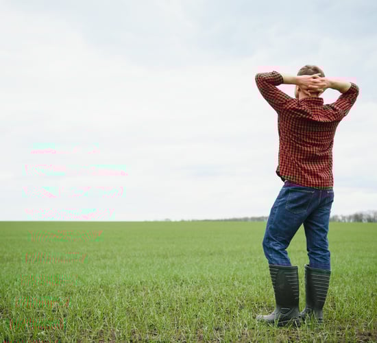 Mental health just as important as physical safety on farms - TD