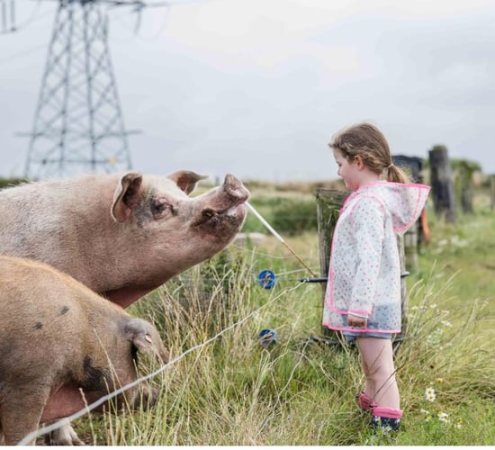 Going from dairy to diversity on Cork's Glenbrook Farm