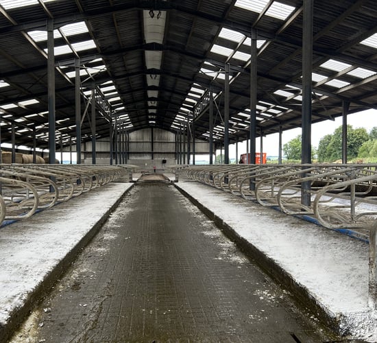 What to consider when putting up a new cubicle shed this autumn
