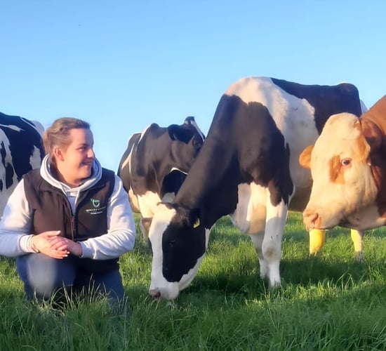 Strict rules 'pushing young people away' from farming - Wexford Rose