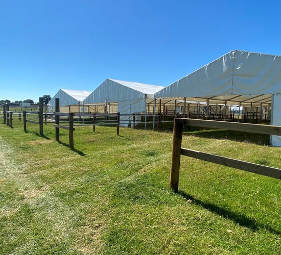 The stage is set for Tullamore Show 2025 this Sunday