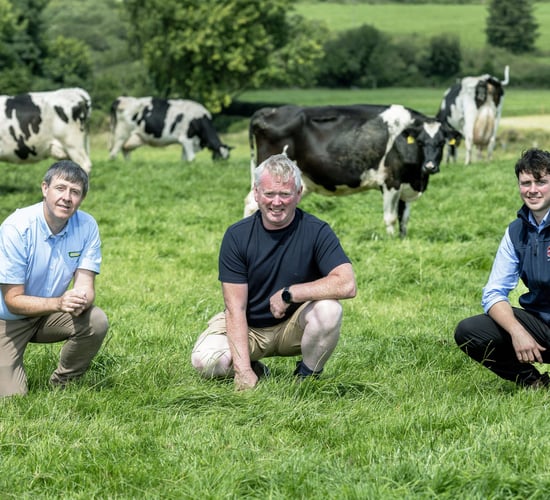 Find out about a Co. Cork farmer's winning approach with Dairygold and AgNav