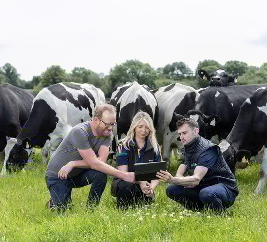 Utilising AgNav 'makes our farm more productive &amp; helps the environment'