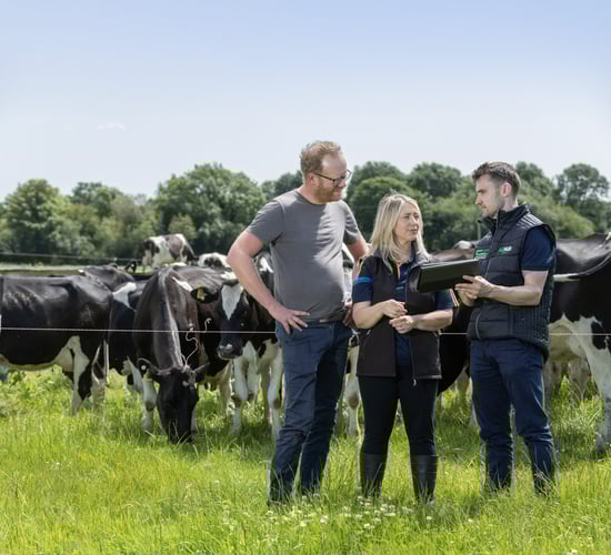 Agriland launches AgNav series with Teagasc, Bord Bia and ICBF