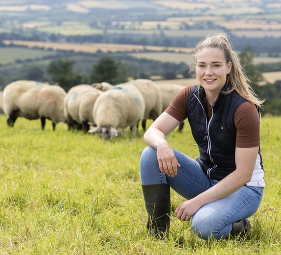 Watch: Controlling lameness on a Wicklow mixed enterprise farm